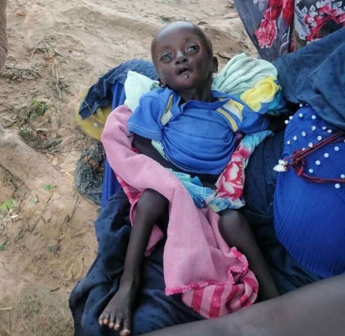 الأمن الغذائي في السودان .. منسقية النازحين تحذر من مجاعة وشيكة وأسعار الدخن تصل 30 ألف جنيه