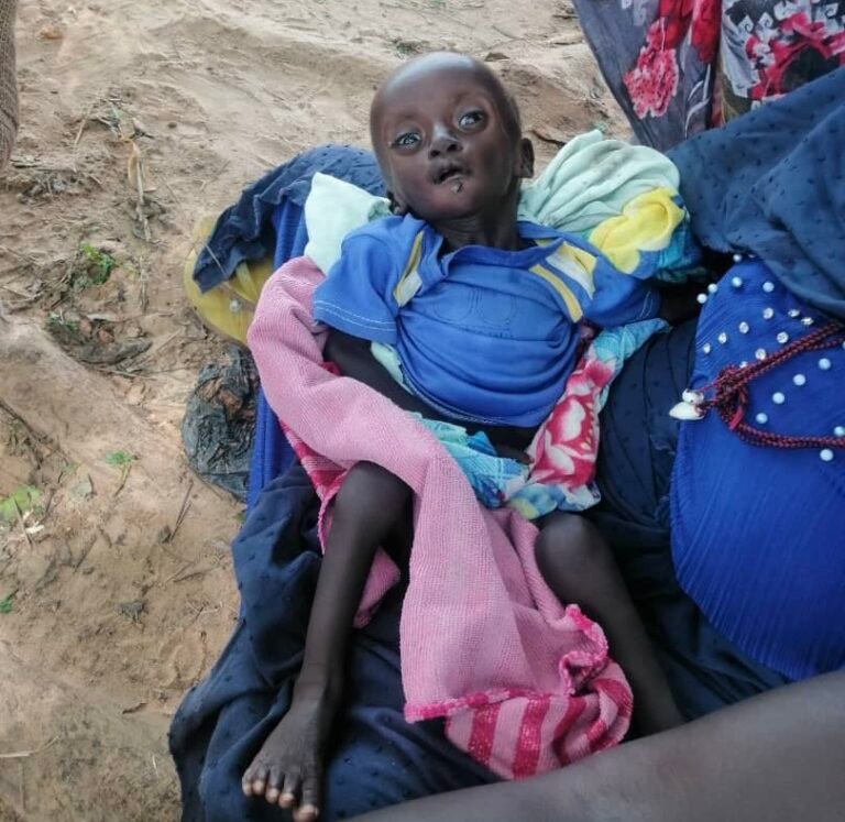 الأمن الغذائي في السودان .. منسقية النازحين تحذر من مجاعة وشيكة وأسعار الدخن تصل 30 ألف جنيه