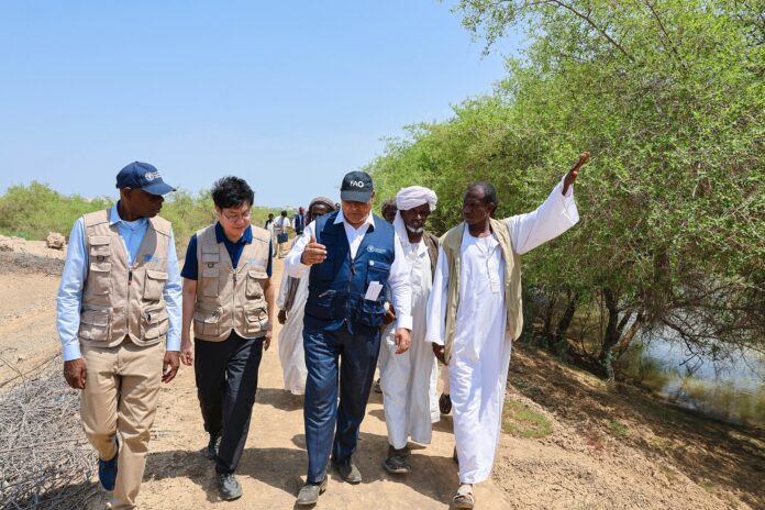 منظمات اممية تحذر من أن انتشار النزاع في السودان 