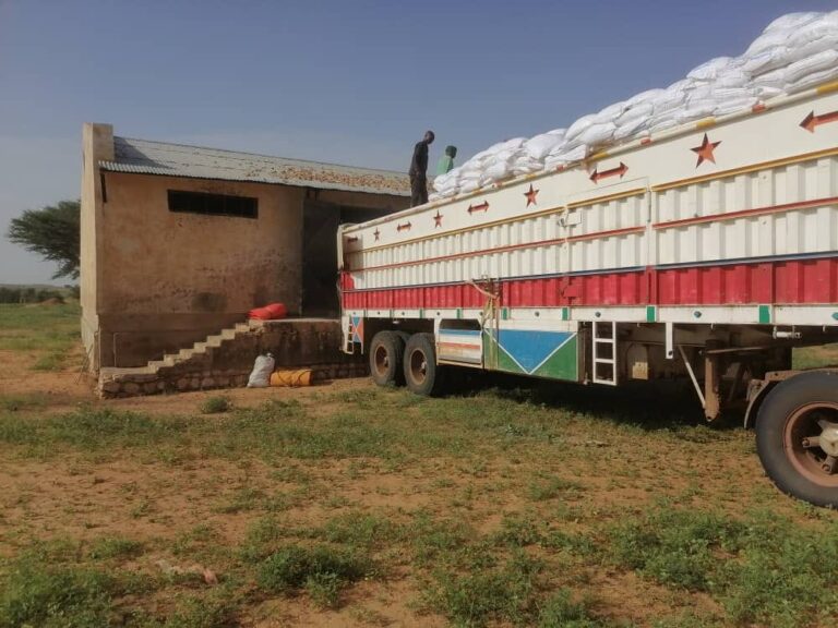 “الوكالة السودانية” تتسلم شحنات المساعدات الإنسانية من “اليونسيف” لولاية شرق دارفور