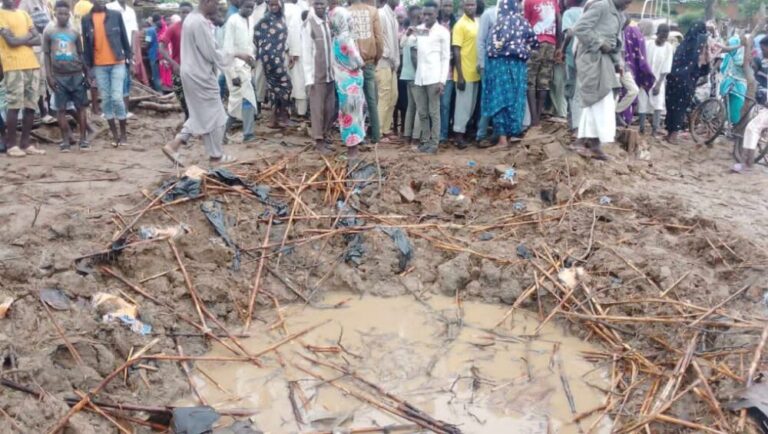 D.V.S.Organization. strongly condemns the targeting of civilians through aerial bombardments by the Sudanese Air Force D.V.S.Organization. strongly condemns the targeting of civilians through aerial bombardments by the Sudanese Air Force