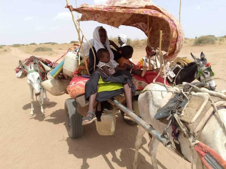 منسقية معسكرات النازحين واللاجئين تدعو المجتمع الدولي عدم استخدام الغذاء كسلاح للتجويع ضد النازحين والمواطنين في السودان منسقية معسكرات النازحين واللاجئين تدعو المجتمع الدولي عدم استخدام الغذاء كسلاح للتجويع ضد النازحين والمواطنين في السودان