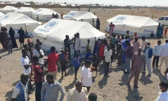أوتشا: انعدام الأمن والصدمات المناخية يفاقمان المعاناة في دارفور ونزوح الآلاف نحو طويلة