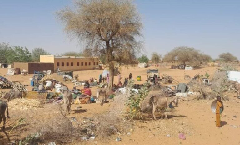 منظمة الهجرة.. ارتفاع عدد الفارين من حرب السودان إلى ١٤ مليون