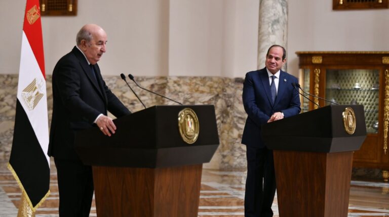 توافق مصري جزائري على ضرورة وقف إطلاق النار فى السودان وتشكيل حكومة