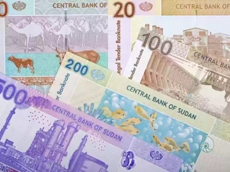 انخفاض حاد للجنيه السوداني مقابل الدولار وارتفاع هائل في أسعار