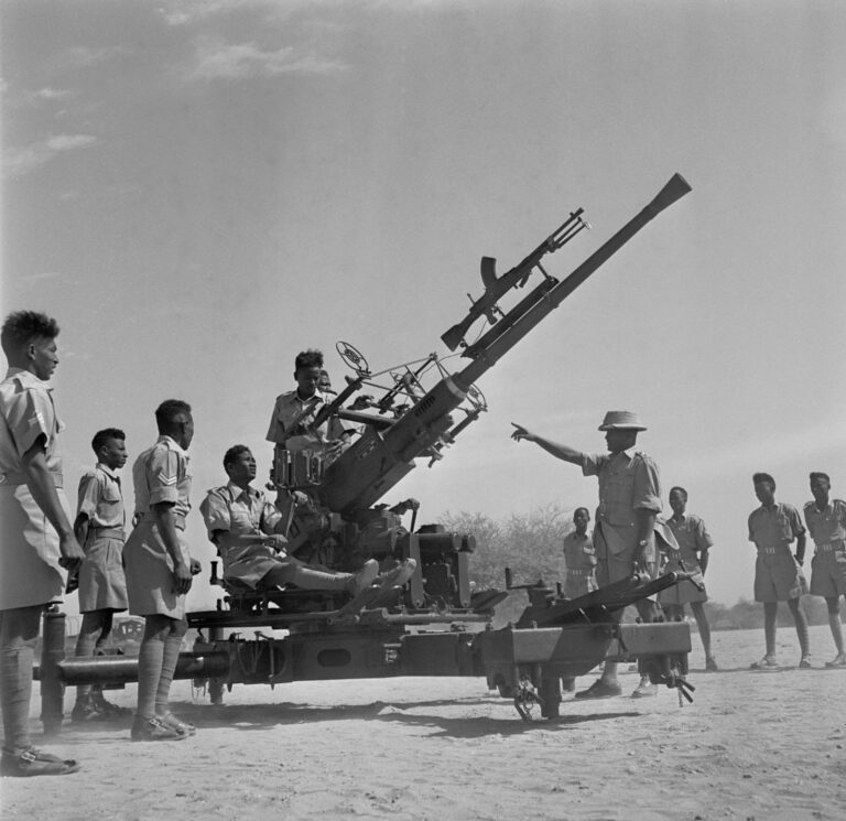 عبدالوهاب الأنصاري يكتب: مليشيا جندرمة “Gendarmerie” قوة دفاع السودان S.D.F” 1925″ النشوء والارتقاء .. !!