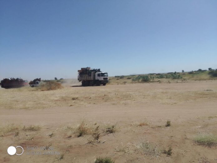 تقرير حول النزوح في مدينة الفاشر الي منطقة طويلة