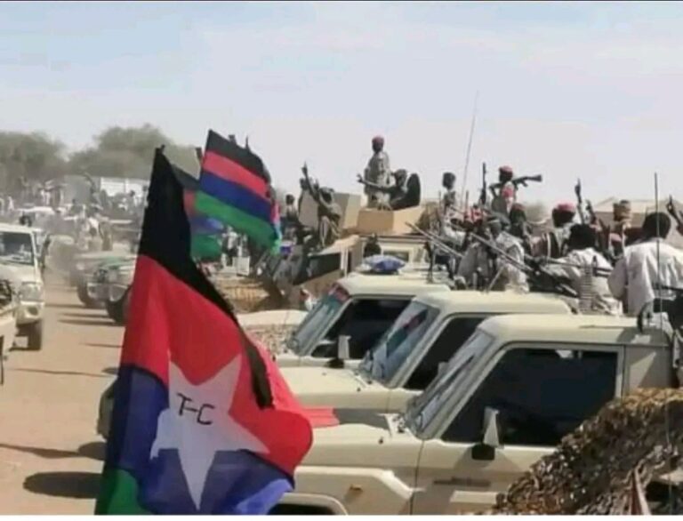 والي شمال دارفور السابق نمر “قوات  تحرير السودان المجلس الانتقالي” تنسق مع الدعم السريع في العمليات العسكرية ميدانياً ..