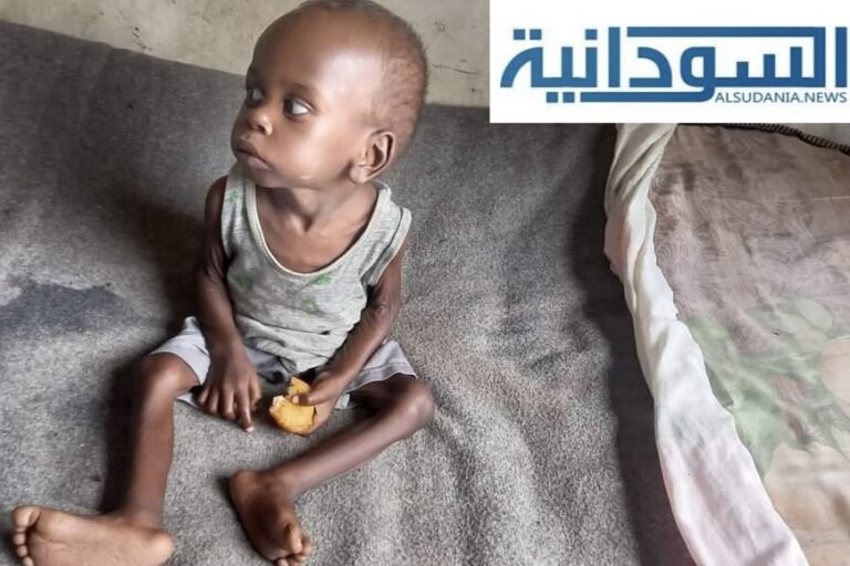 اليونيسف تدين نهب إمدادات إنسانية مخصصة لإنقاذ حياة اكثر من (130) الف طفل في وضع حرج