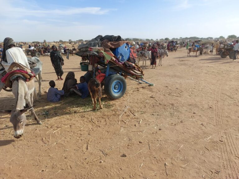 المنسقية العامة لمخيمات النازحين واللاجئين تصف الاوضاع الانسانية للفارين من الفاشر بالخطرة 