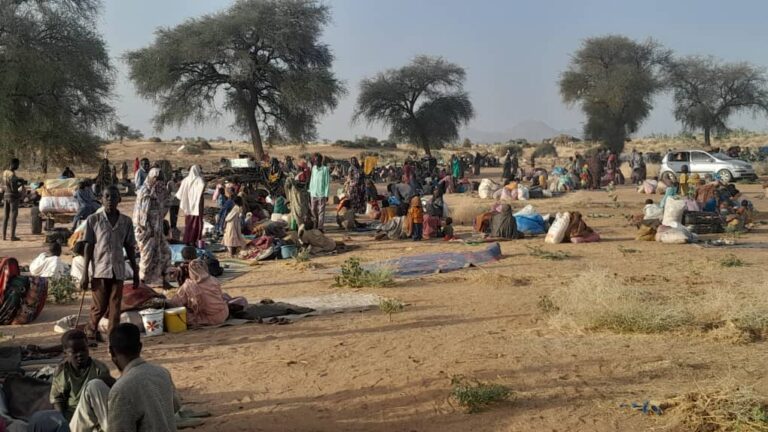 مناشدة إنسانية عاجلة: إنقاذ حياة 50,000 نازح في دارفور
