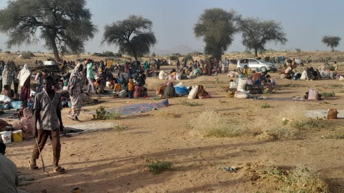 Sudan: From mob mentality to civic rationality