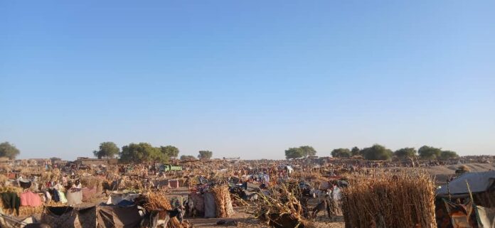 ثلاثة ملايين نازح يصلون الاراضي المحررة و500 طفل إنفصلوا عن أسرهم أثناء عملية الهروب من الفاشر