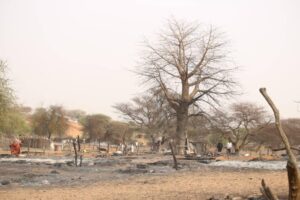 Darfur Victims Support Organization On the Devastating Fire in Tawisha Locality – North Darfur
