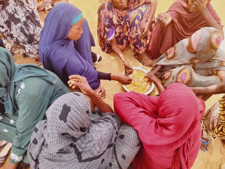 Dar­fur Vic­tims Support Or­ga­ni­za­tion and hope Haven refugees Or­ga­ni­za­tion.