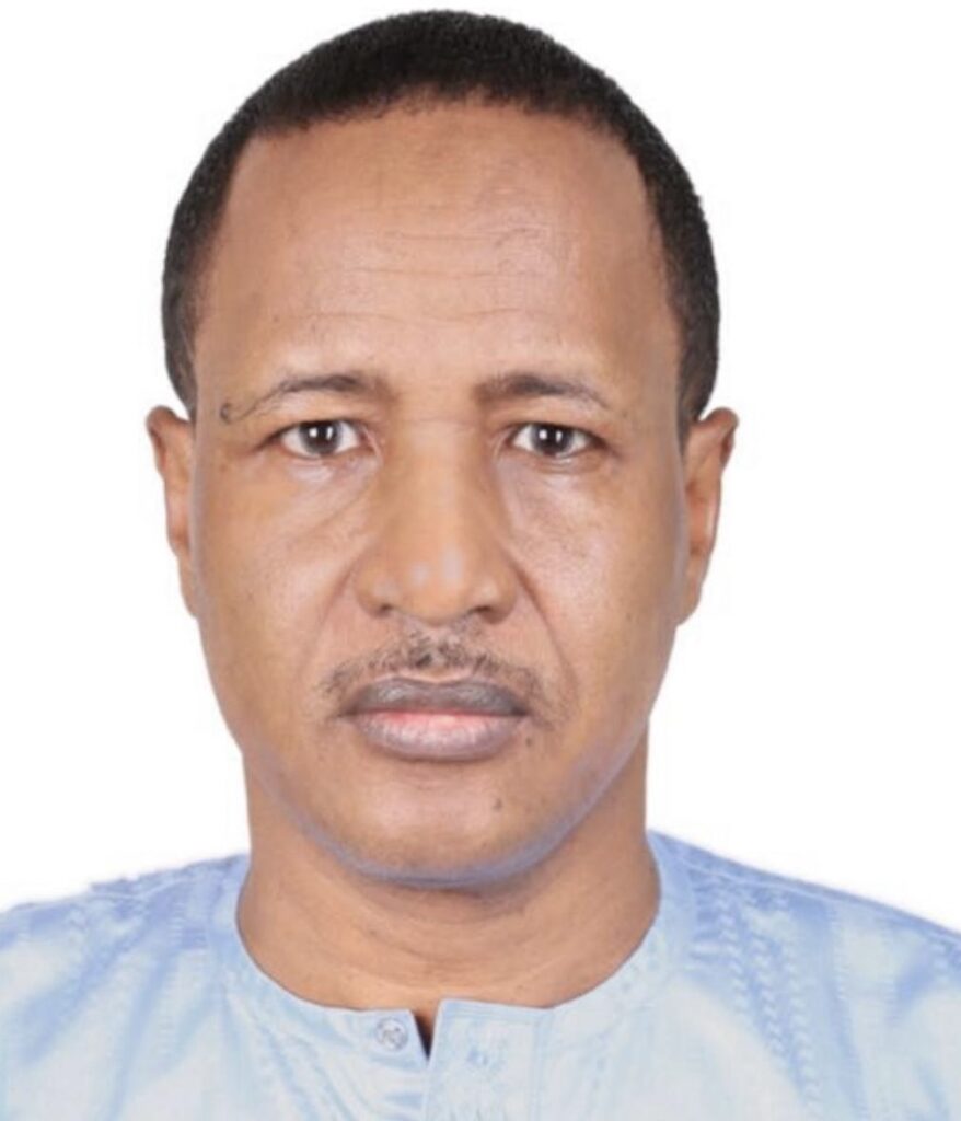 محمد علي الكيلاني :مدير مركز (رصد الصراعات في الساحل الافريقي)، باريس