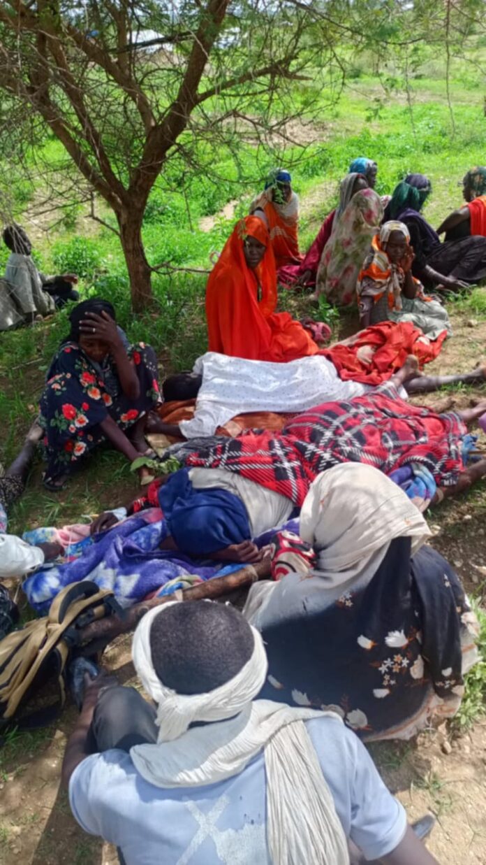  منظمة الصحة العالمية: الجوع والمرض ينتشران في السودان والكوليرا تنتقل الي مخيمات اللاجئيين في تشاد 