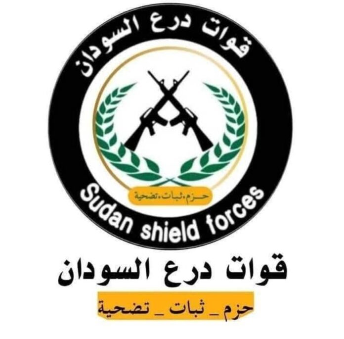 قوات درع السودان تعترف بمقتل العشرات من قواتها في معارك أم سيالة بكردفان