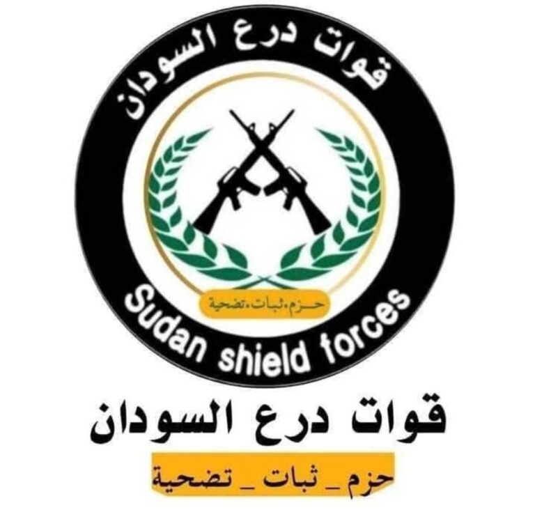 قوات درع السودان تعترف بمقتل العشرات من قواتها في معارك أم سيالة بكردفان