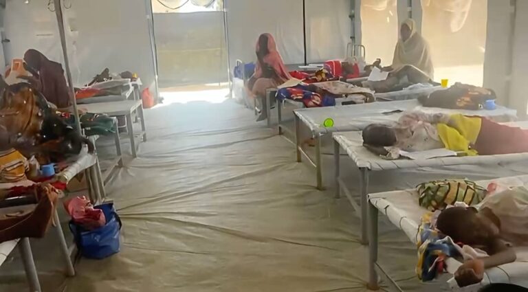 The total daily cases since the outbreak in Darfur has exceeded 5,570, including 236 deaths