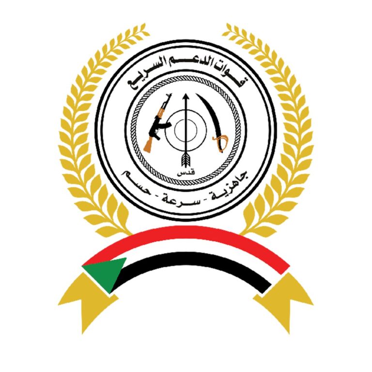 Rapid Support Forces Deny Airstrikes on Nyala Airport and Other Sites