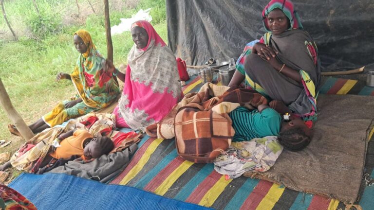ارتفاع حالات الكوليرا في دارفور إلى 12,883 منها 543 حالة وفاة.