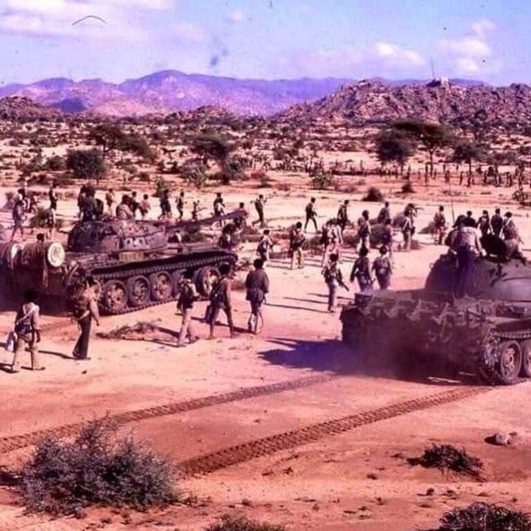 ?Will the Ethiopian–Eritrean War Begin from Eastern Sudan