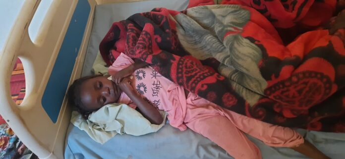 Cholera in Darfur States: the total number of cases since the outbreak to 13,426 including 569 deaths.