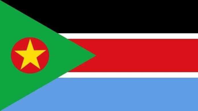 الحركة الشعبية لتحرير السودان شمال تدين القصف الجوي على المدنيين في سوق الزرقة