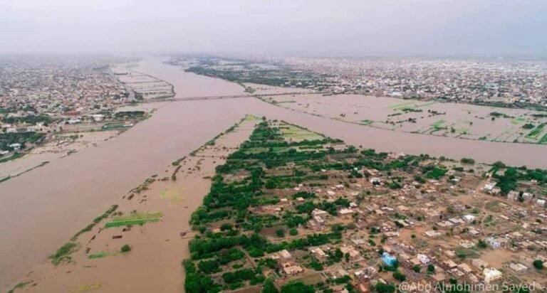 Floods in the Nile Basin: The Need for External Mediation for Effective Partial Coordination Among the Three States