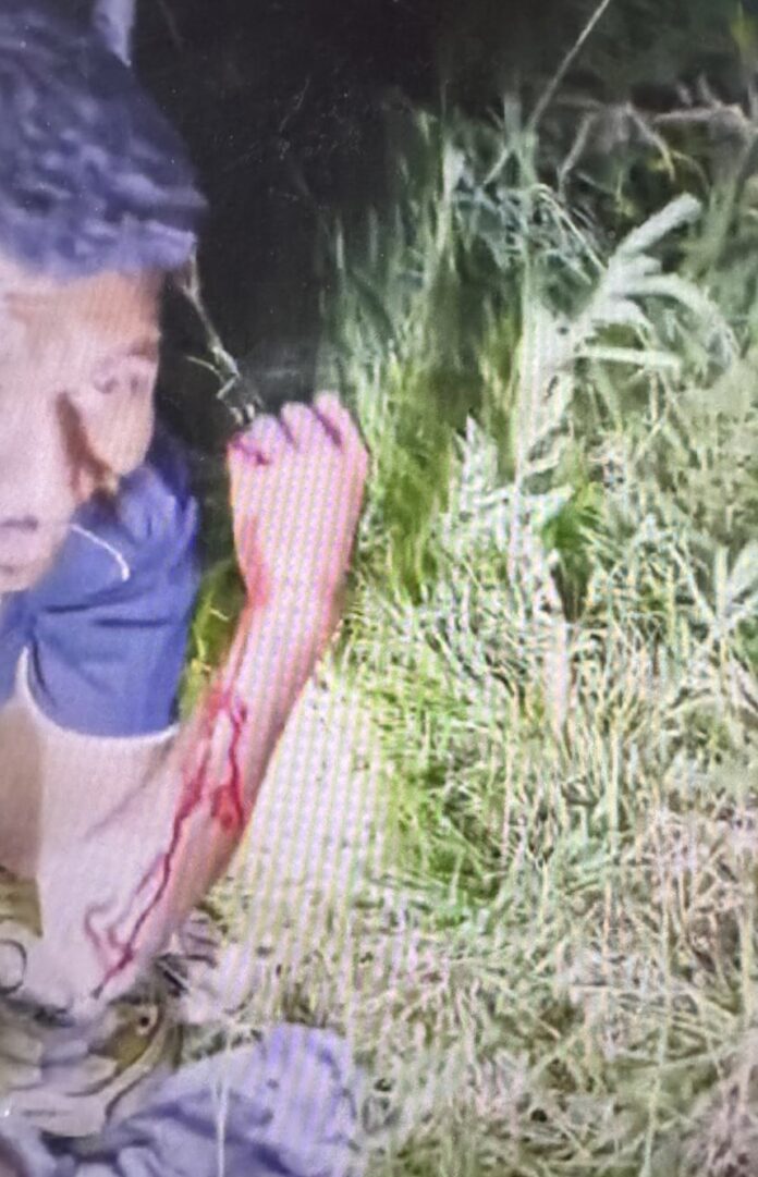 بالفيديو :تعرض شاب لهجوم من تمساح أثناء مراجعة الترس في قرية نقزو بولاية نهر النيل 