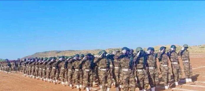 جيش حركة تحرير السودان تخرج الدفعة (26) دفعة نداء السلام والاستقرار الشامل