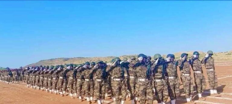 جيش حركة تحرير السودان تخرج الدفعة (26) دفعة نداء السلام والاستقرار الشامل