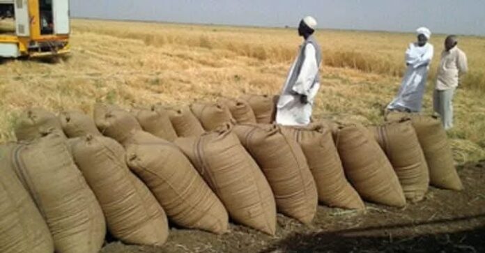 حزب البعث (الأصل) يدعو لمقاطعة انتخابات مزارعي الجزيرة والمناقل ويصفها بـ“الزائفة”