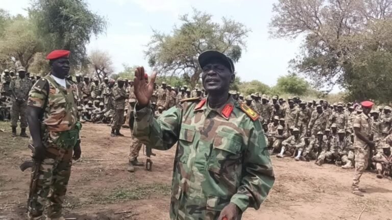 الجيش الشعبي لتحرير السودان – شمال يعلن استعادة منطقة "قردود نياما" في مقاطعة تقلي الجديدة