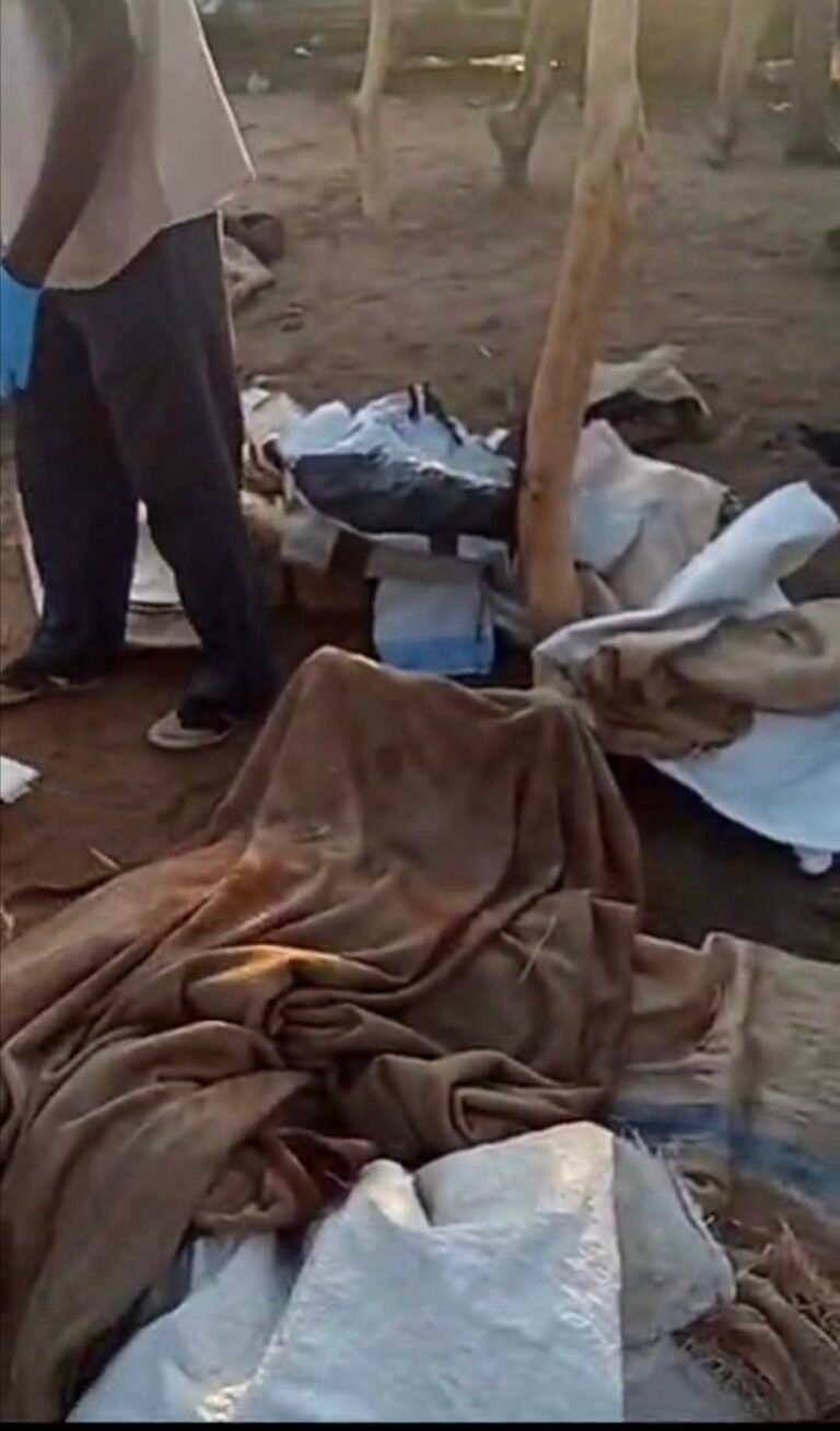 مقتل 37 مدنيًا بينهم 11 طفلًا و14 امرأة في قصف لطيران الجيش لسوق قرية إنجمينا بغرب كردفان.. ومنظمة حقوقية تدين وتطالب بلجنة تحقيق دولية