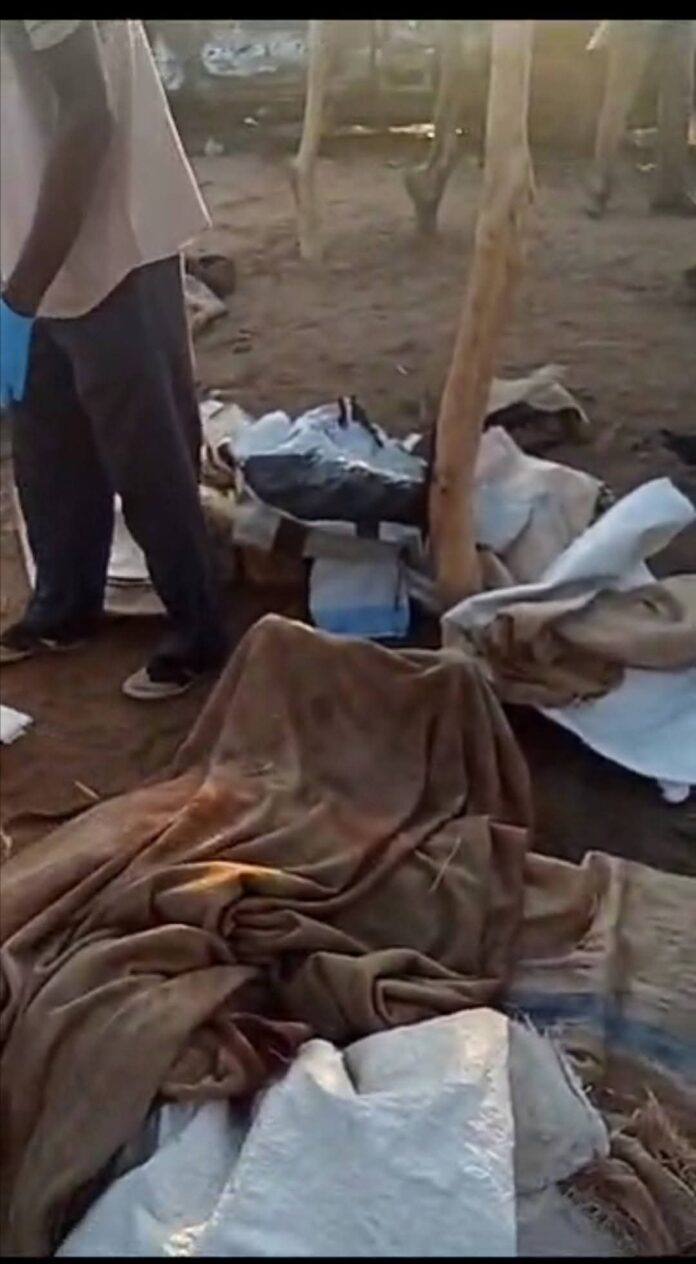 Darfur Victims Support Organization Preliminary Documentation Report on an Aerial Attack Against Civilians at Um Jamina Market