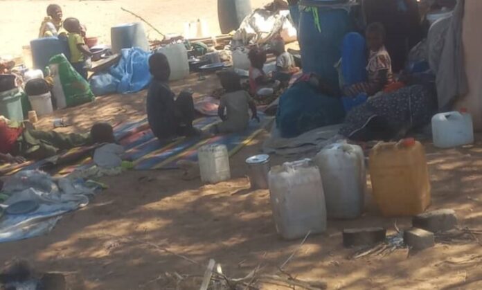 وصول 60 أسرة نازحة إلى معسكر المسل بشمال دارفور وسط أوضاع إنسانية حرجة