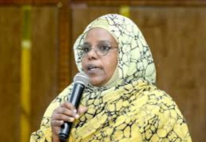 البرهان يقبل استقالة سلمى عبدالجبار وسط تصاعد صراع النفوذ داخل حكومة الأمر الواقع