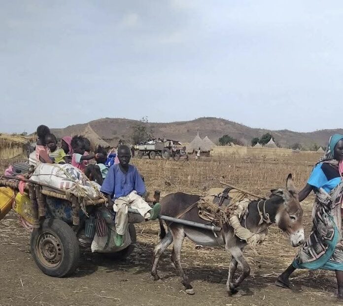 حظر تجوال ليلي وتقييد حركة “المواتر” في إقليم النيل الأزرق والدمازين على أعتاب المواجهات بعد سقوط مناطق استراتيجية