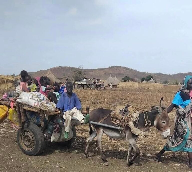 نحو 28 ألف نازح في النيل الأزرق يعيشون في ظروف قاسية وسط نقص الخدمات