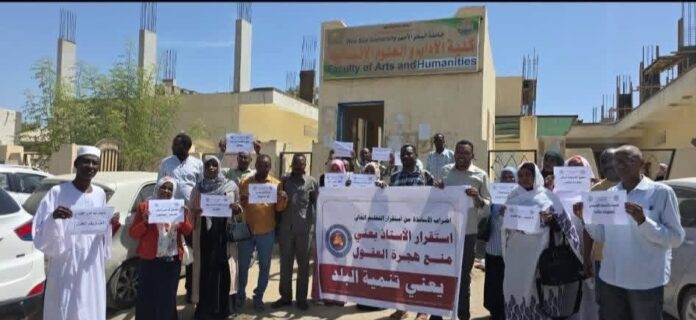 أساتذة كلية الآداب بجامعة البحر الأحمر يدخلون في إضراب شامل غدا ضمن تصعيد جامعي واسع