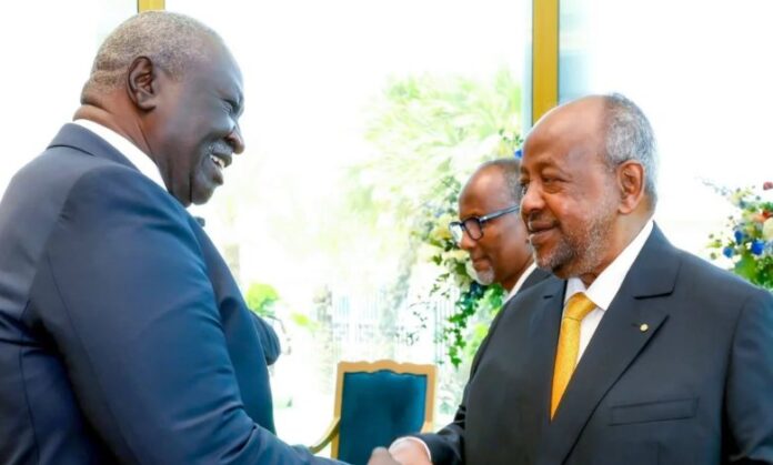 دبلوماسية الحافة… لقاء متوتر في جيبوتي يكشف عمق الازمة السودانية الإثيوبية
