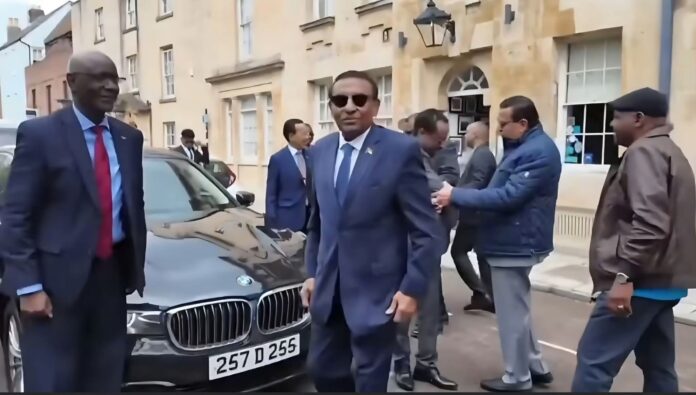 بالفيديو 