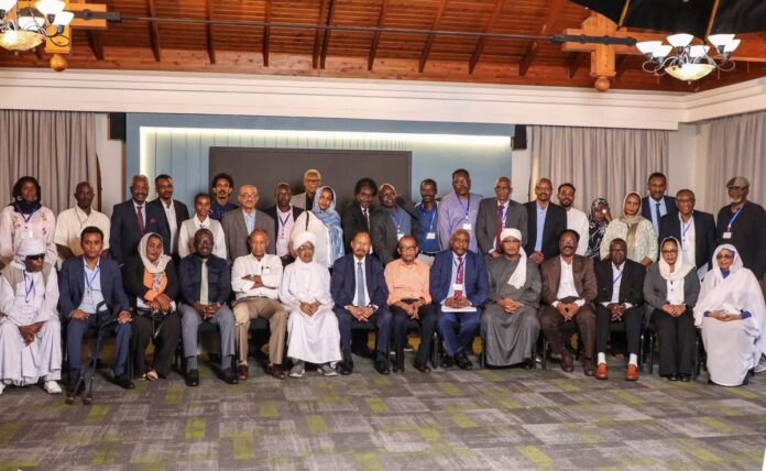 قوى إعلان المبادئ السوداني تنشر ميثاق 