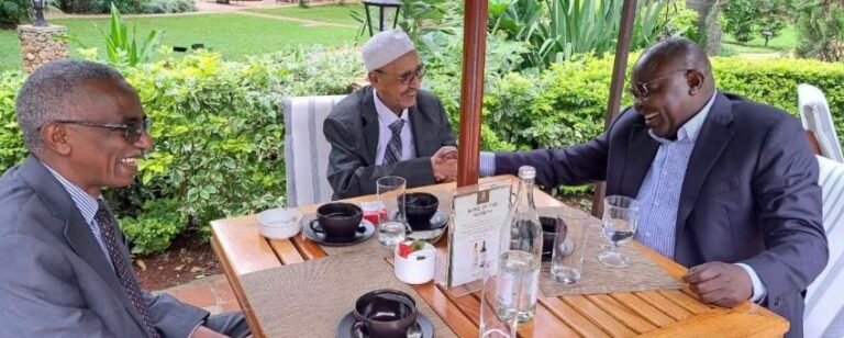 لقاء بين عبدالواحد نور وعلي السنهوري ووجدي صالح يؤكد أولوية وقف الحرب ووحدة السودان