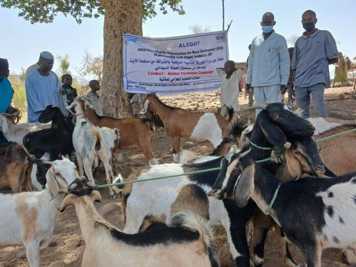 حملة تطعيم واسعة للثروة الحيوانية بالاراضي المحررة في دائرة ديرا بدارفور لتعزيز الصحة البيطرية