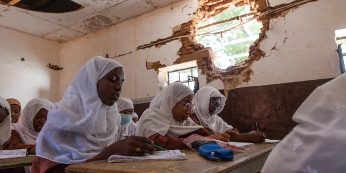 الأمم المتحدة لمجلس الأمن: ثلثا السودانيين يحتاجون مساعدات منقذة للحياة وشعب السودان يحتاج غذاءً لا مسيّرات