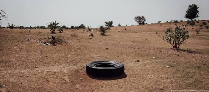 الحرب تأكل الأخضر: السودان يفقد ربع مليون هكتار من غاباته.. والحطب يعود ليشعل أزمة بيئية ومعيشية